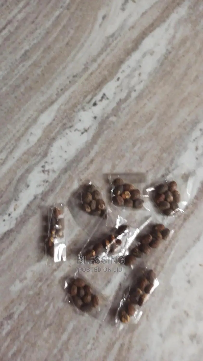 Miracle Seed for Weight Loss
