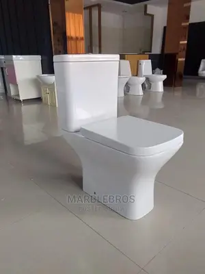 Quality Wc Set Top Flush System