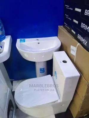 Quality Wc Set Top Flush System