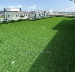 Artificial Grass