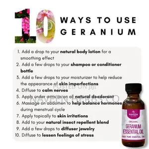 Geranium Essential Oil 10ml
