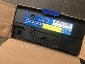 100 Arms Battery