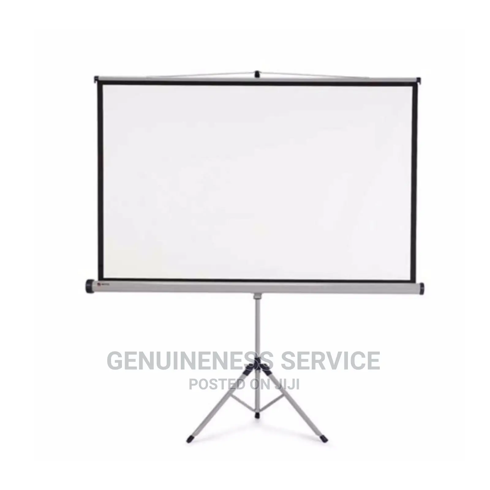 Projector Screen