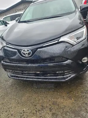 Toyota RAV4 LE AWD 2019 Gray