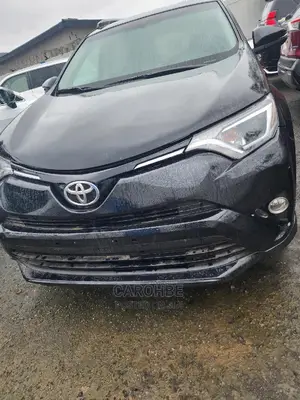 Toyota RAV4 LE AWD 2019 Gray