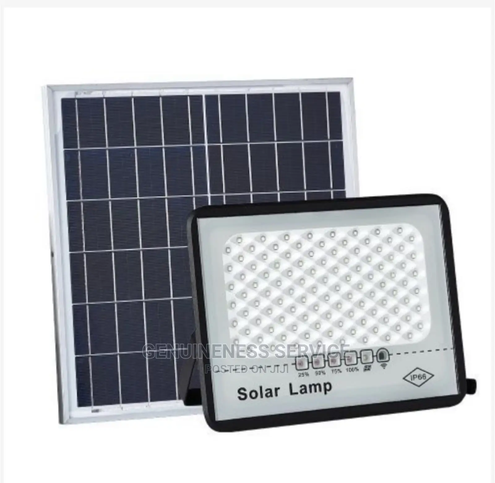 100w Solar Flood Light
