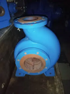 Johnson End-Suction Pump
