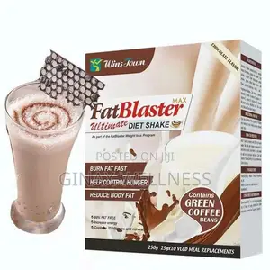 Fat Blaster Ultimate Diet Shake (Chocolate Flavour)