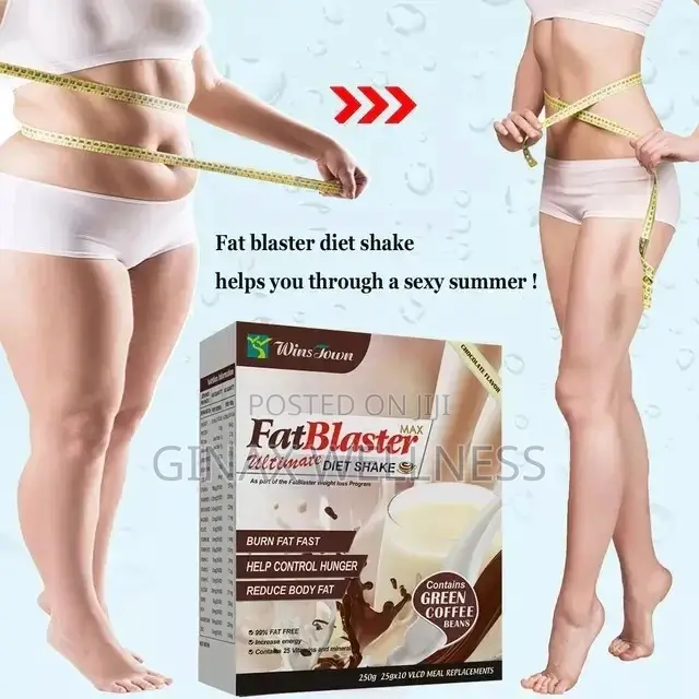 Fat Blaster Ultimate Diet Shake (Chocolate Flavour)