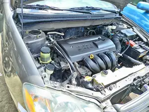 Toyota Corolla 2006 Gray