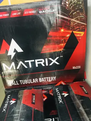 220w Matrix Tall Tubular Battery