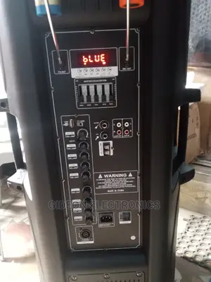 Double 15" Pa System