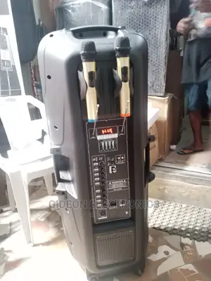 Double 15" Pa System