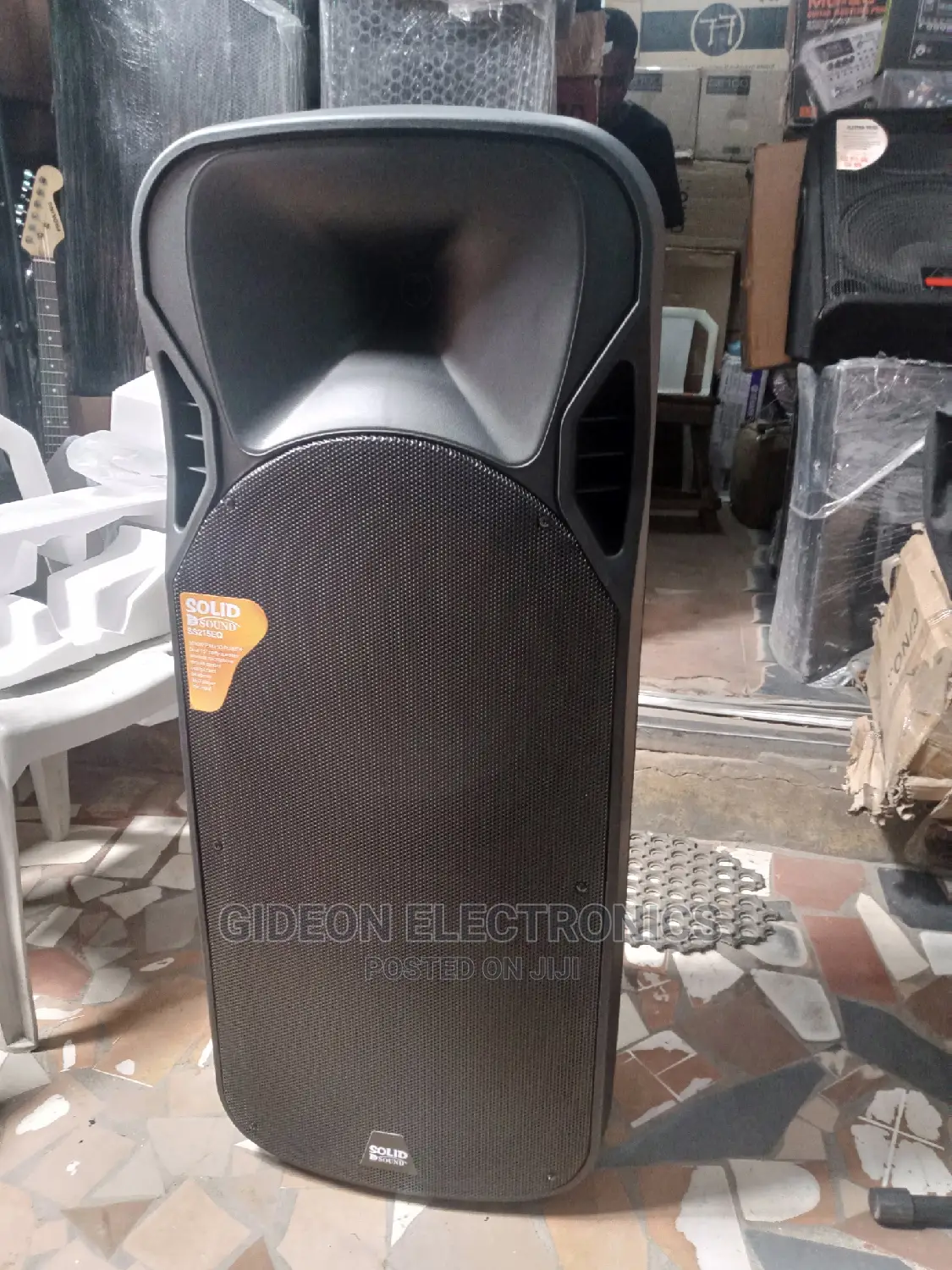 Double 15" Pa System