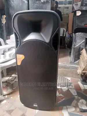 Double 15" Pa System