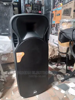 Double 15" Pa System
