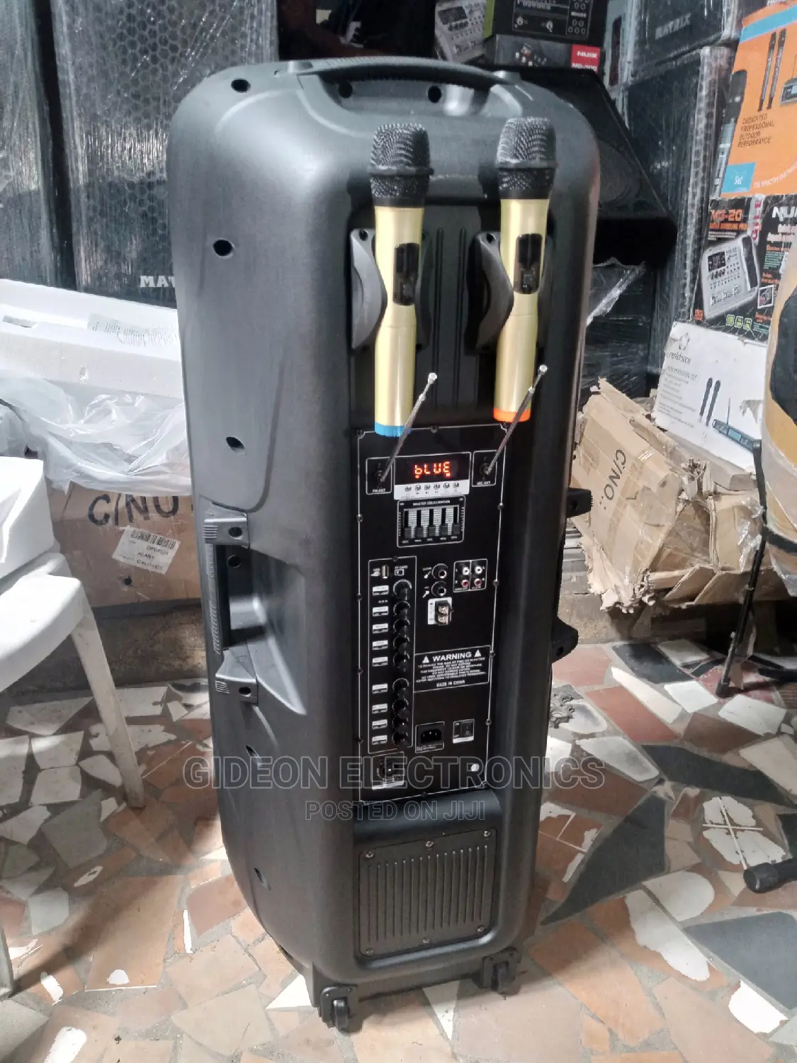 Double 15" Pa System