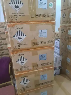 5KWH 24V Lithium Iron Battery LPBF24200-M