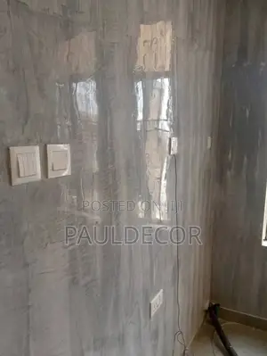 Painter and Decorative Paint Applicator