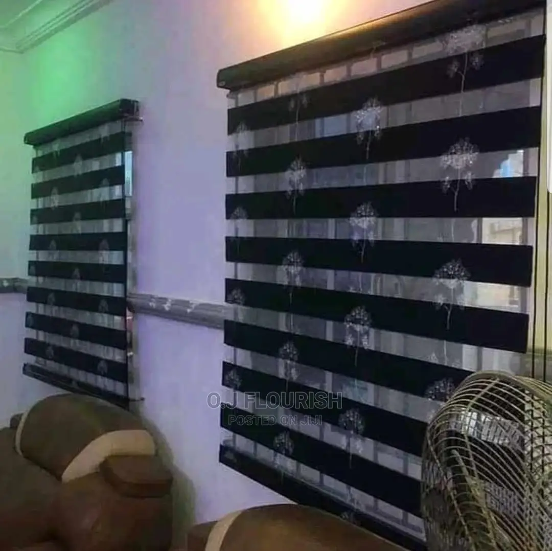 Exceptional Day and Night Window Blinds