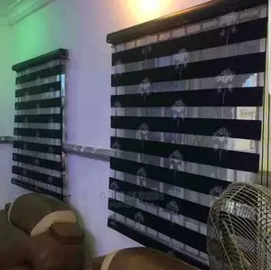 Exceptional Day and Night Window Blinds