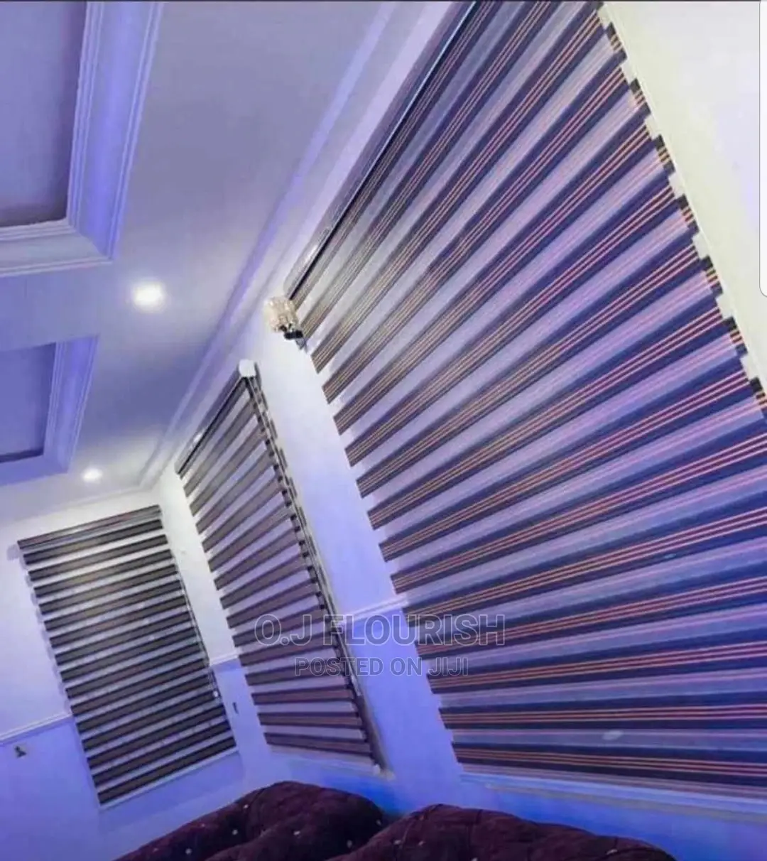 Exceptional Day and Night Window Blinds