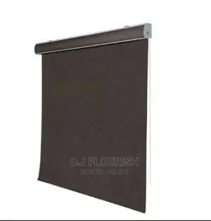 Exceptional Day and Night Window Blinds