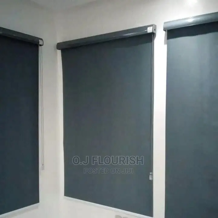 Exceptional Day and Night Window Blinds