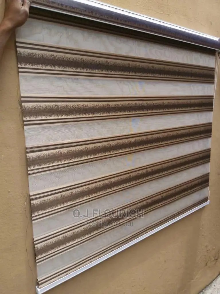 Exceptional Day and Night Window Blinds