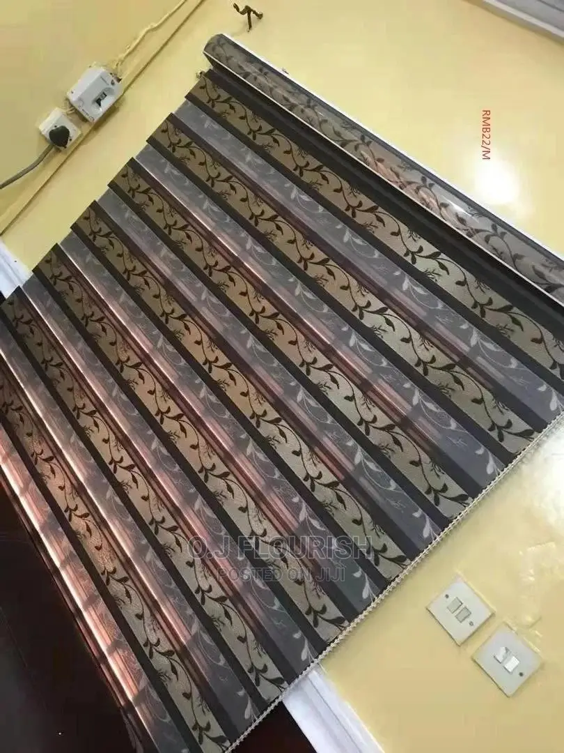 Exceptional Day and Night Window Blinds