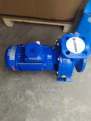 Lowara Surface Water Pump