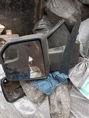Ford F150 Side Mirror.