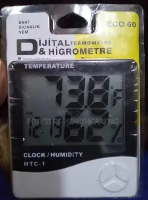 Wall Thermometer Digital