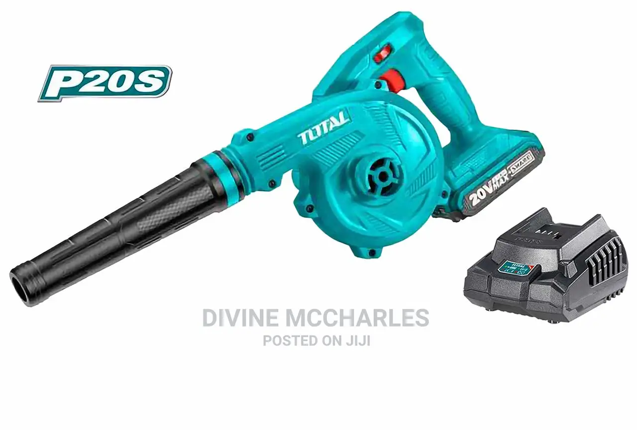 Lithium Ion Blower