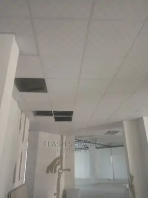 Suspended Ceiling / Ceiling Tiles / Grid Ceiling