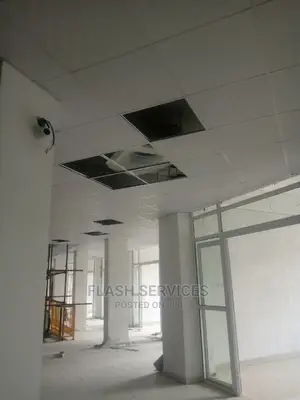 Suspended Ceiling / Ceiling Tiles / Grid Ceiling