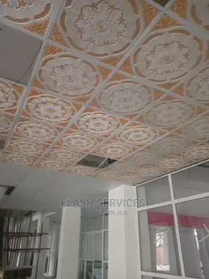 Suspended Ceiling / Ceiling Tiles / Grid Ceiling