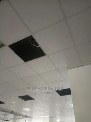 Suspended Ceiling / Ceiling Tiles / Grid Ceiling