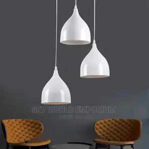 1 Pendant Drop Light