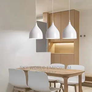 1 Pendant Drop Light