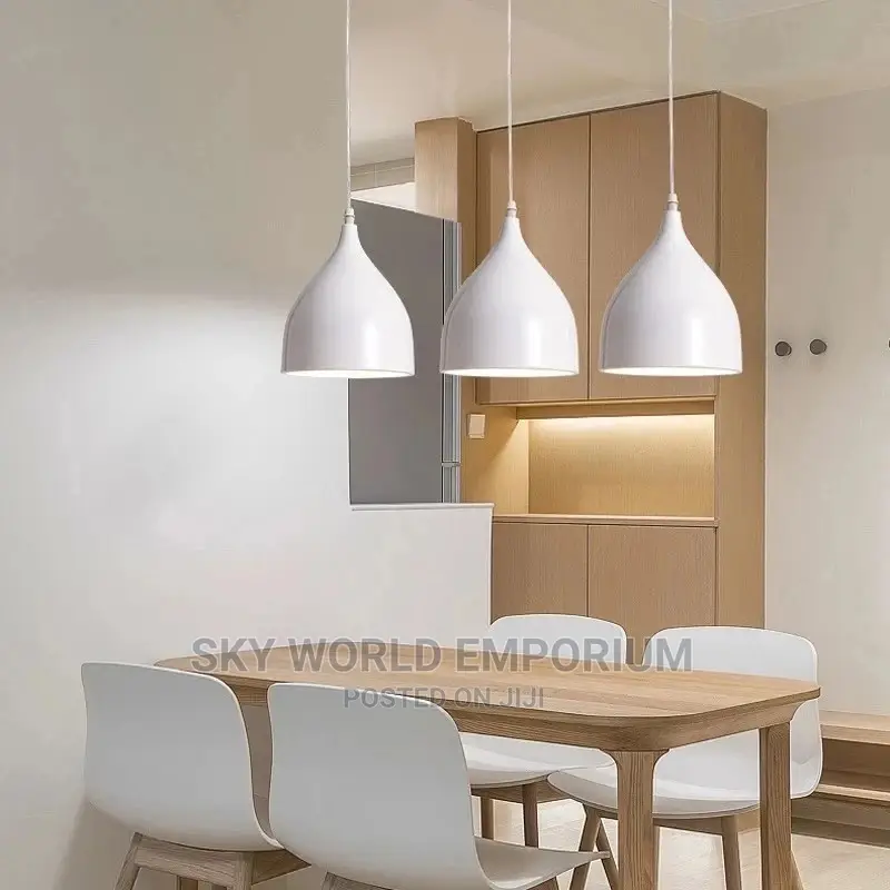 1 Pendant Drop Light