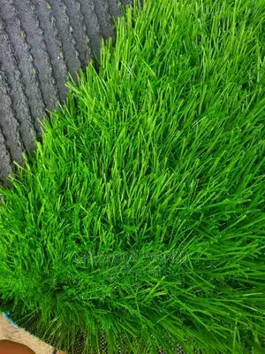 High Quality Synthetic Grass Carpet