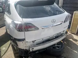 Complete Back Light for Rx350 2020 Model.