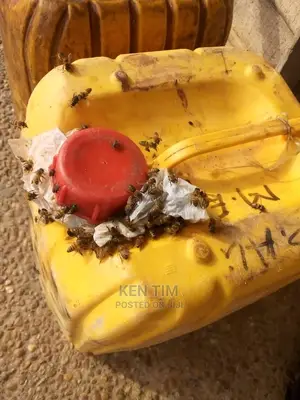 Original Honey
