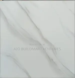 60 X 60 Virony Floor Tiles