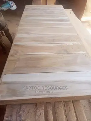 Pivot Hard CORE Security Doors
