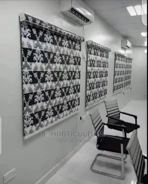 Day and Night Window Blinds