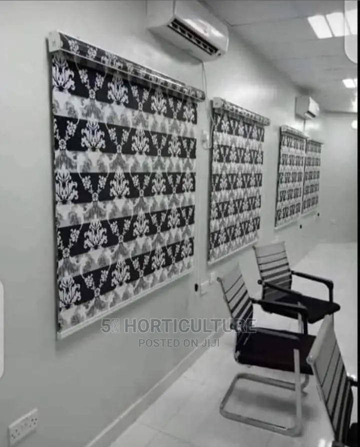 Day and Night Window Blinds
