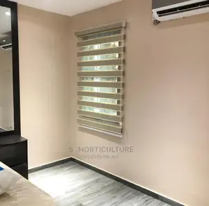 Day and Night Window Blinds