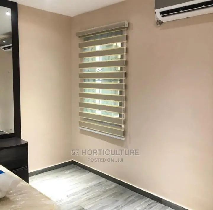 Day and Night Window Blinds
